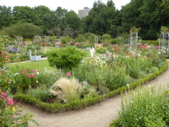 Planten un Blomen