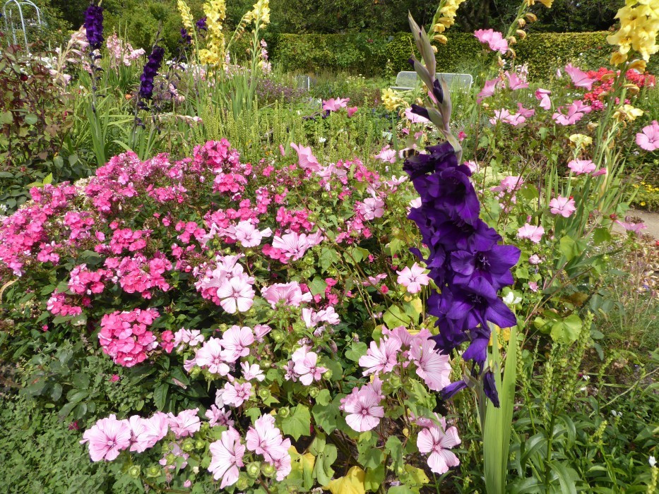 Planten un Blomen