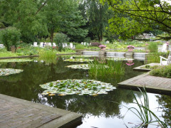 Planten un Blomen