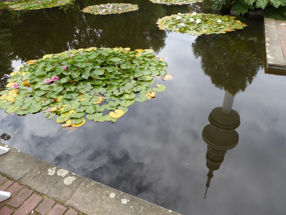 Planten un Blomen