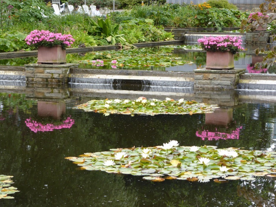 Planten un Blomen