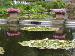 Planten un Blomen