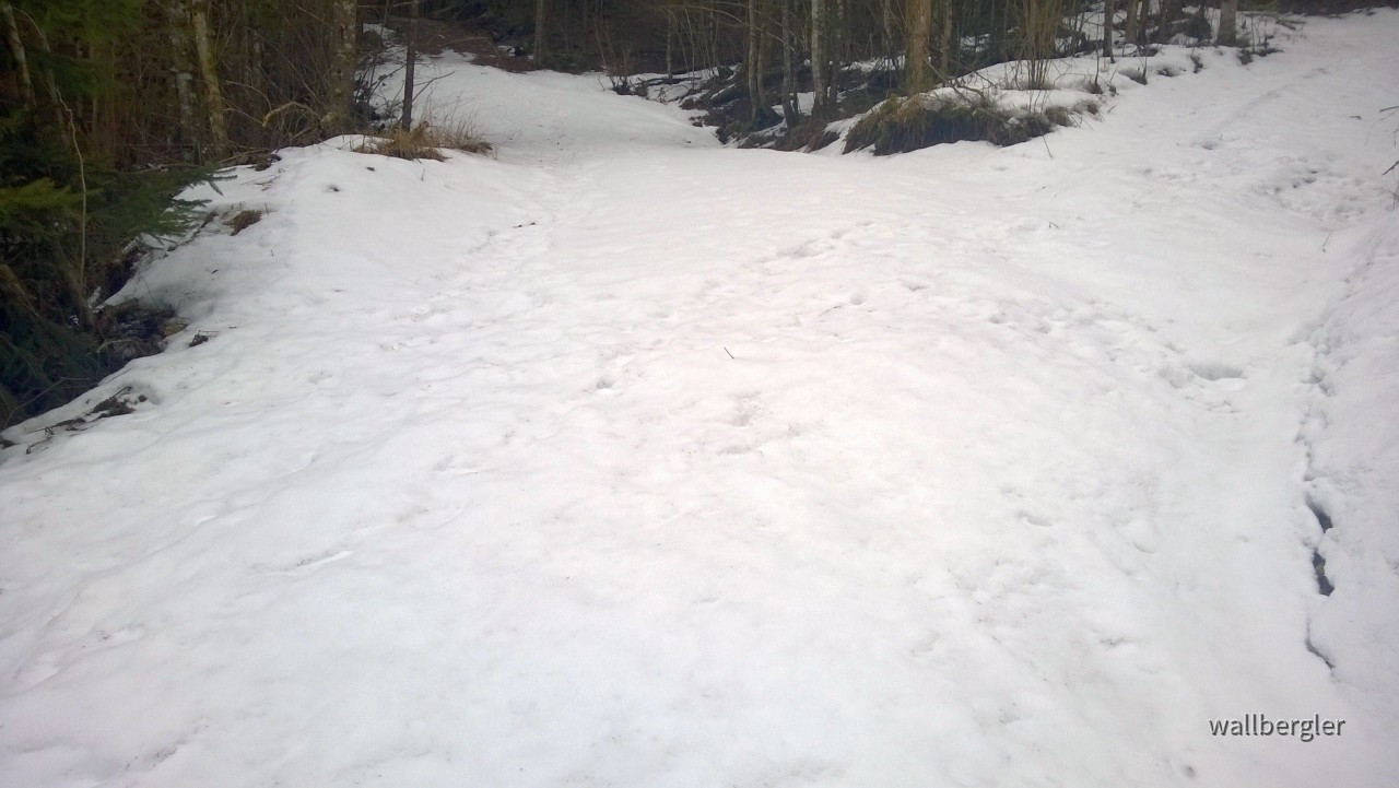 Jachenau, Schneeschuhwanderung