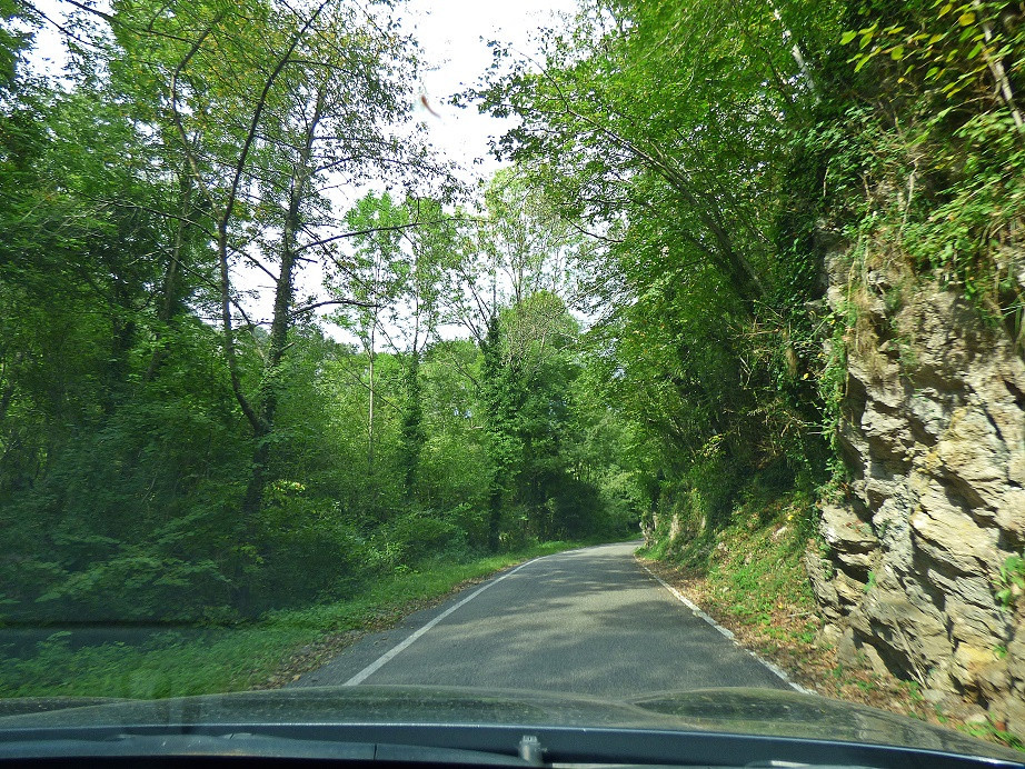 Rückweg