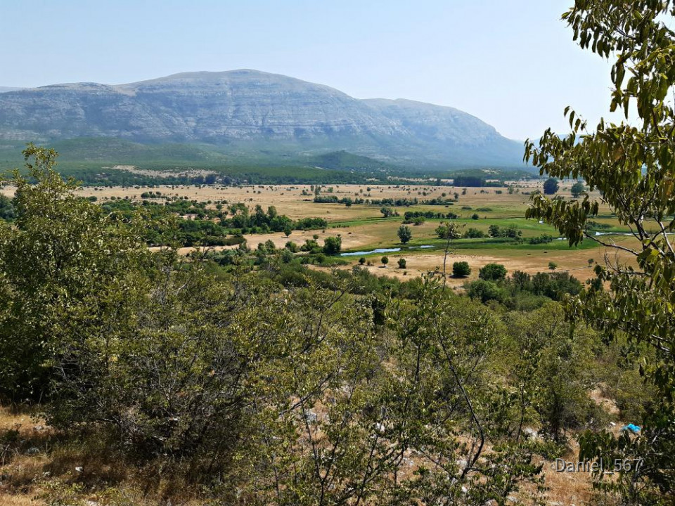 47_Cetina