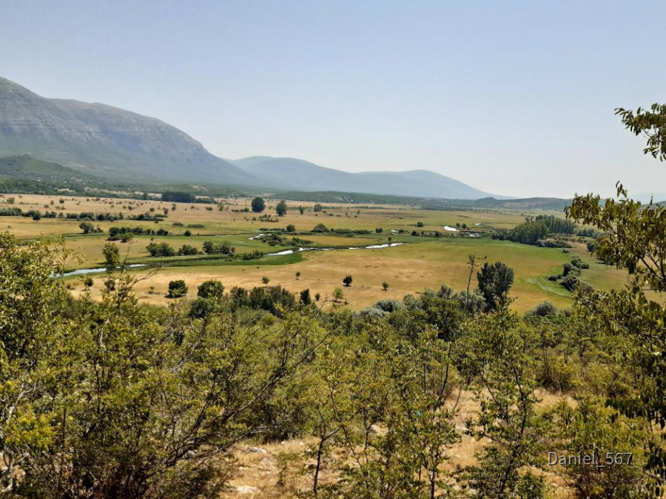 48_Cetina
