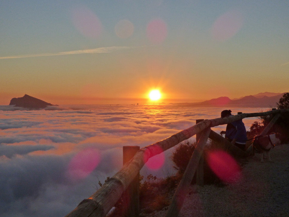 Nebel an der Küste