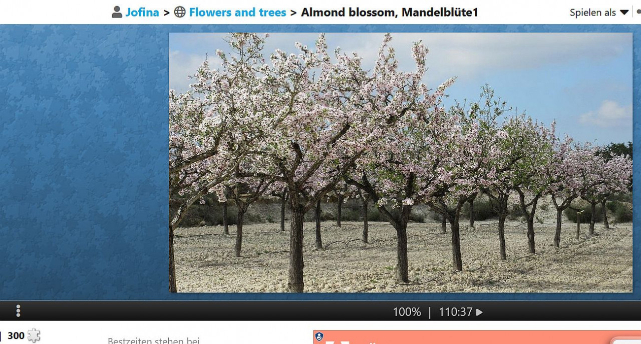 ?random=0&maxWidth=0&embedded=0#imageAnker_59791