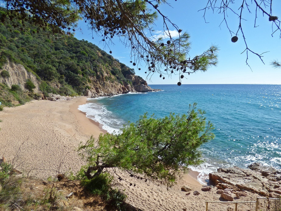 Platja del Canyerets 1
