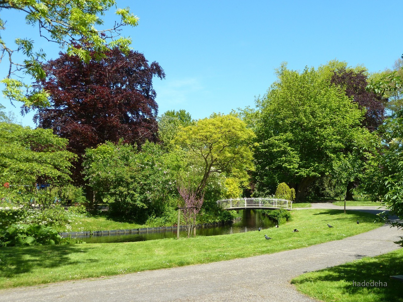 05 Sneek Wilhelminapark