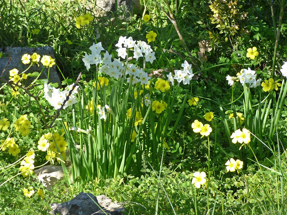 Die Farben des Winters an der Costa Blanca