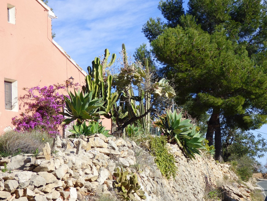 Die Farben des Winters an der Costa Blanca
