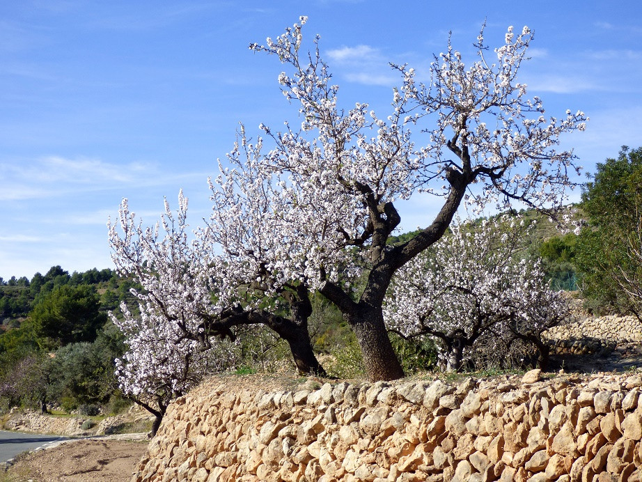 Die Farben des Winters an der Costa Blanca