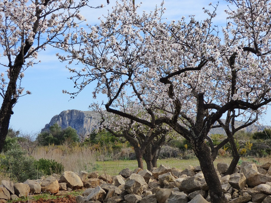 Die Farben des Winters an der Costa Blanca