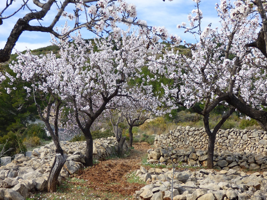 Die Farben des Winters an der Costa Blanca