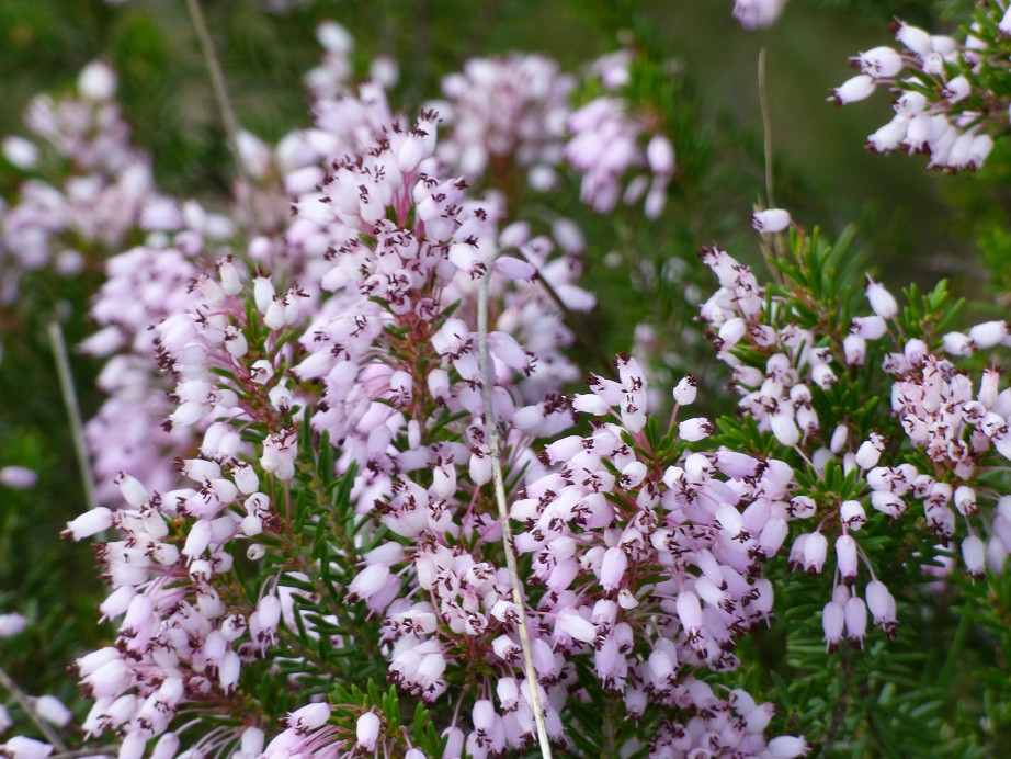 Die Farben des Winters an der Costa Blanca