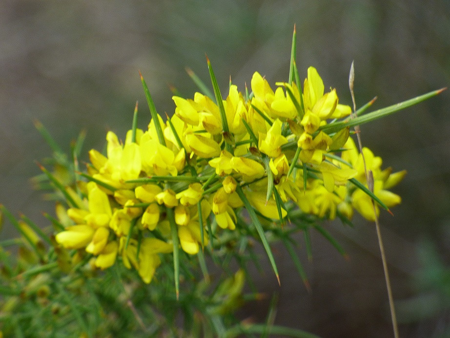 Die Farben des Winters an der Costa Blanca