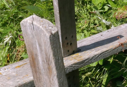 Rätsel