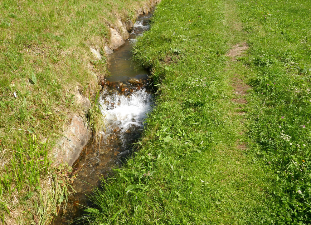 Matscher Ackerwaal