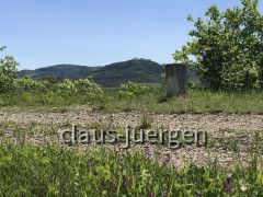 Parenzana