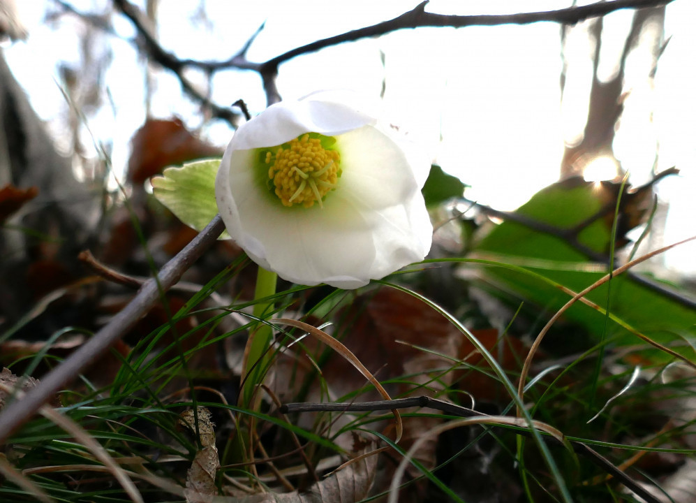 Winter - Frühling 2022