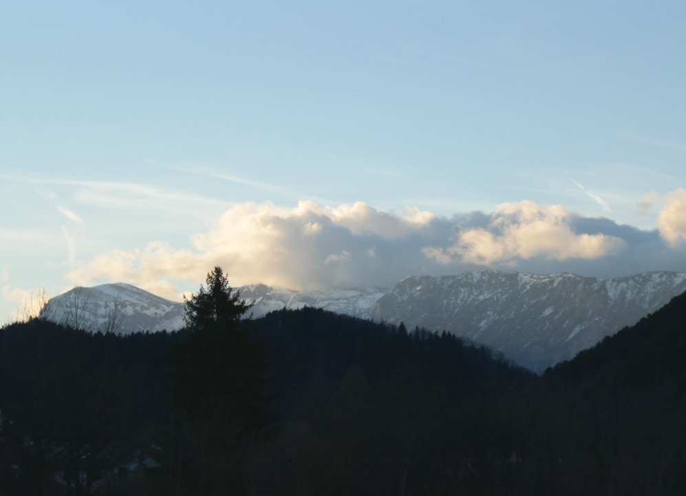 Winter - Frühling 2022