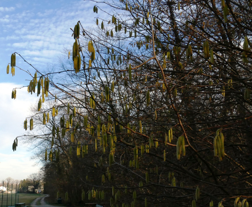 Winter - Frühling 2022