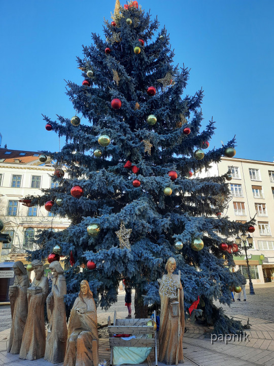 Weihnachtsdeko