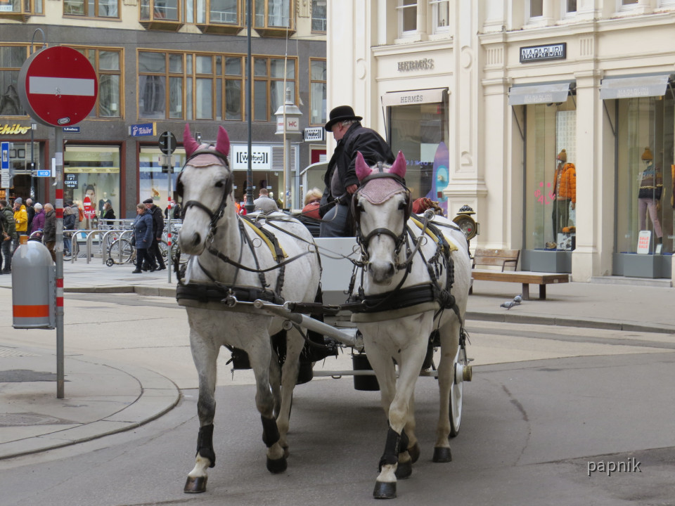 Typisch Wien