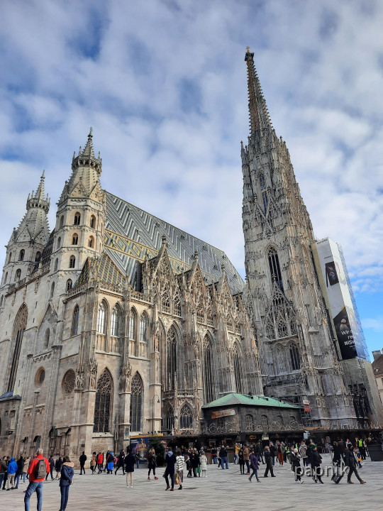 Dom St. Stephan