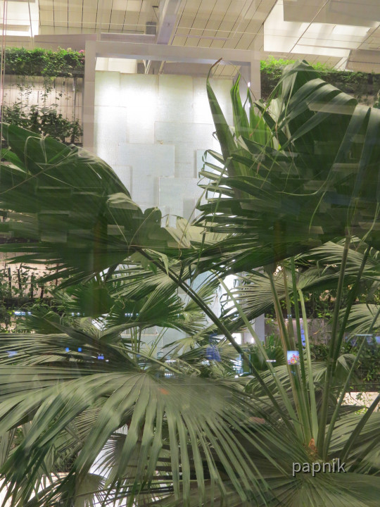 Flughafen Singapur