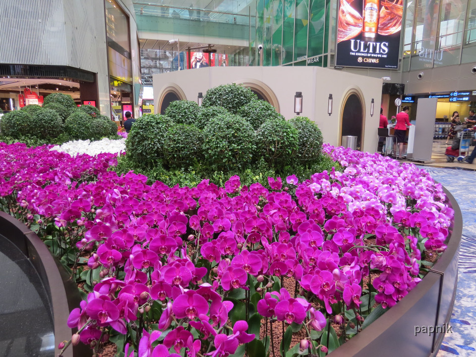 Flughafen Singapur