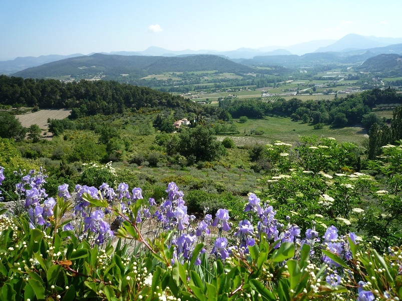 Vaucluse-Landschaft