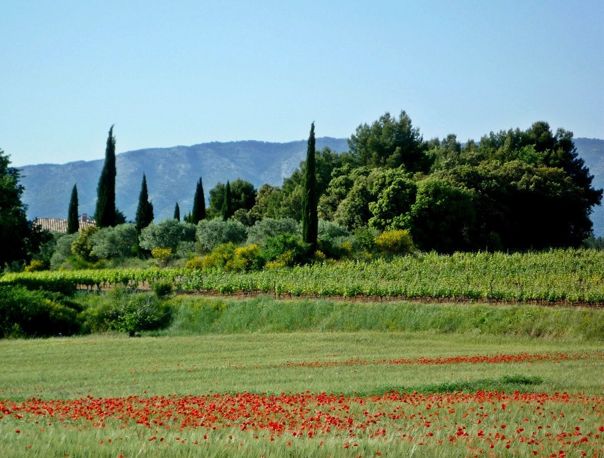 Landschaft im Vaucluse