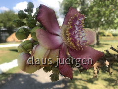 A6D9F917-4A4D-42D2-9317-C733F53E9867