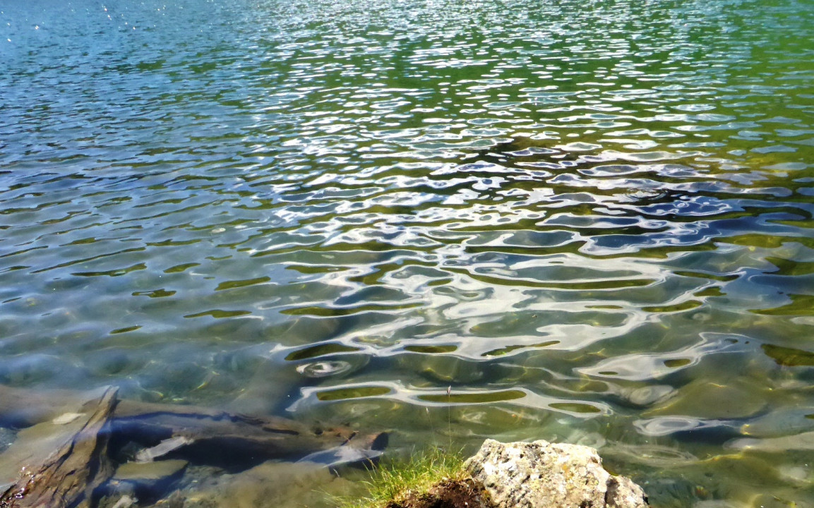 Puzzels Falkertsee und Engel