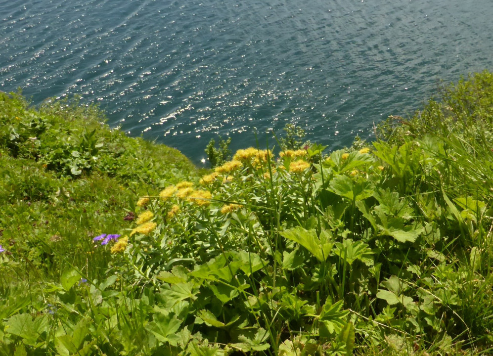 Puzzels Falkertsee und Engel