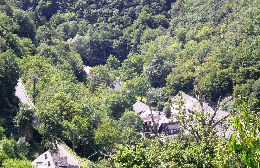 Ein paar Impressionen von der Untermosel im August 2010