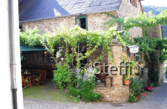 Ein paar Impressionen von der Untermosel im August 2010