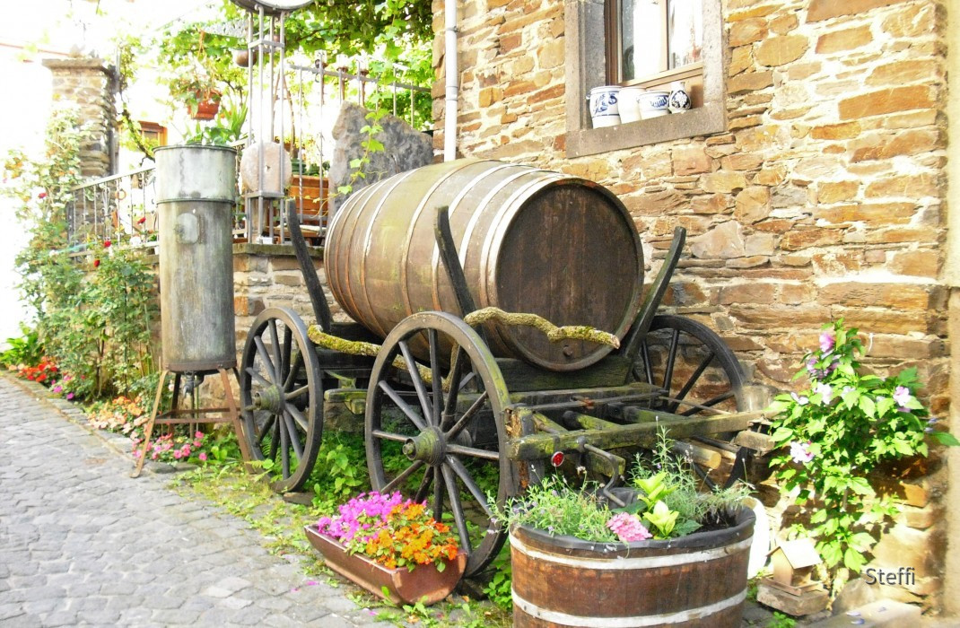 Ein paar Impressionen von der Untermosel im August 2010