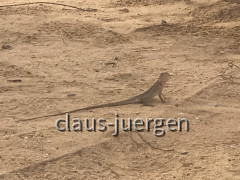 01707173-9B14-43E3-9402-1B92DC7BB49C