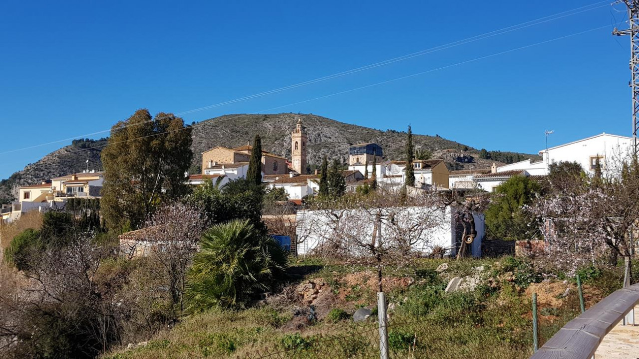 Alcalalí  14