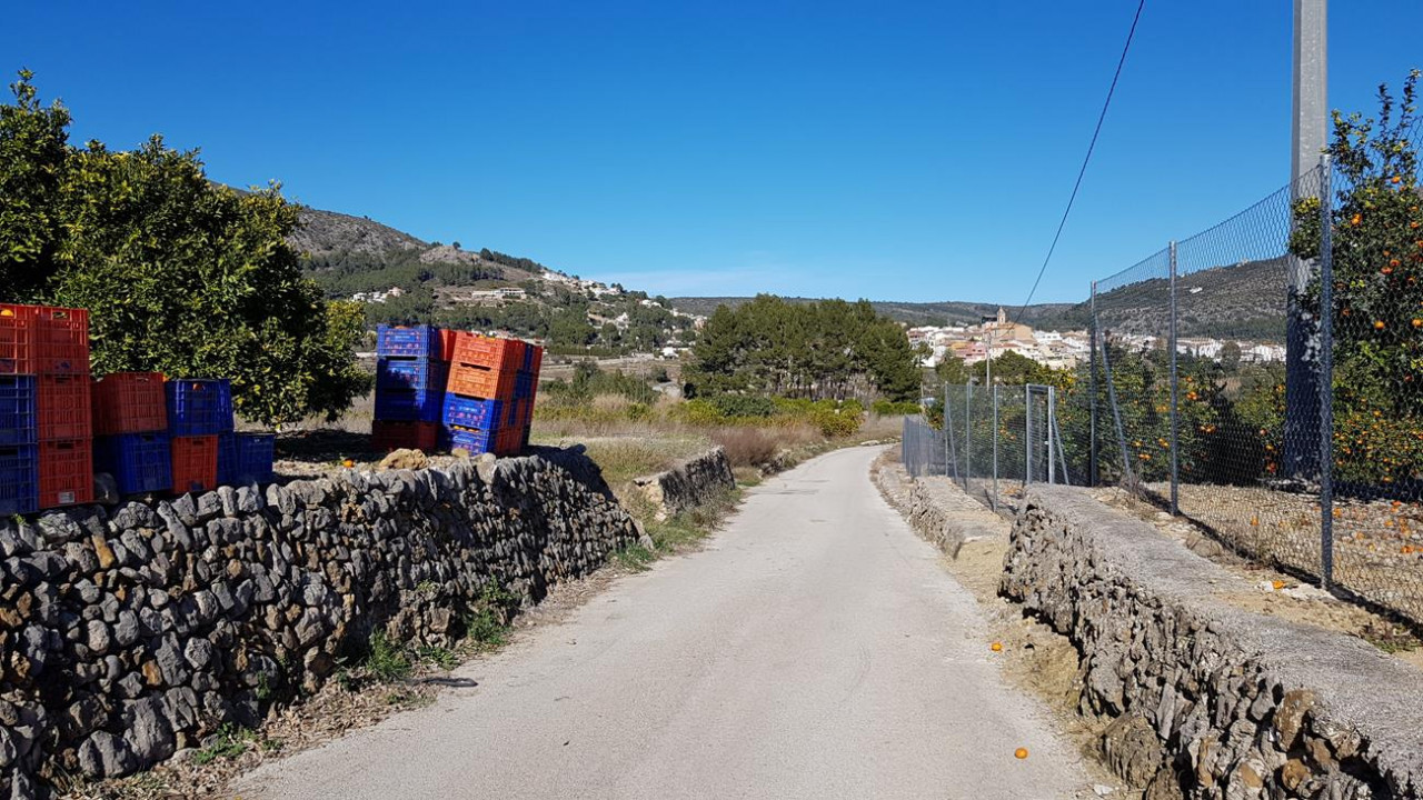 Alcalalí  18