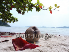 Koh Chang Lonely Beach