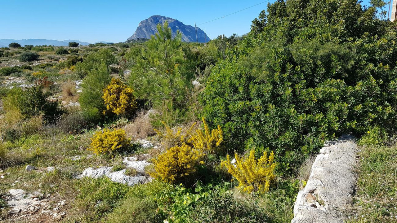 Miradores von Jávea  05