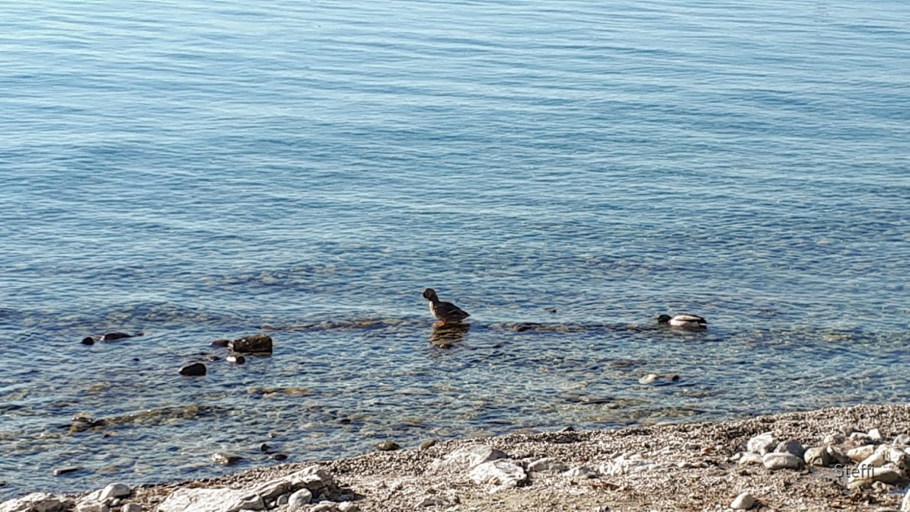 Meersburg Seepromenade (2)