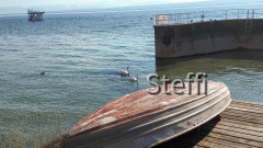 Meersburg Seepromenade (7)
