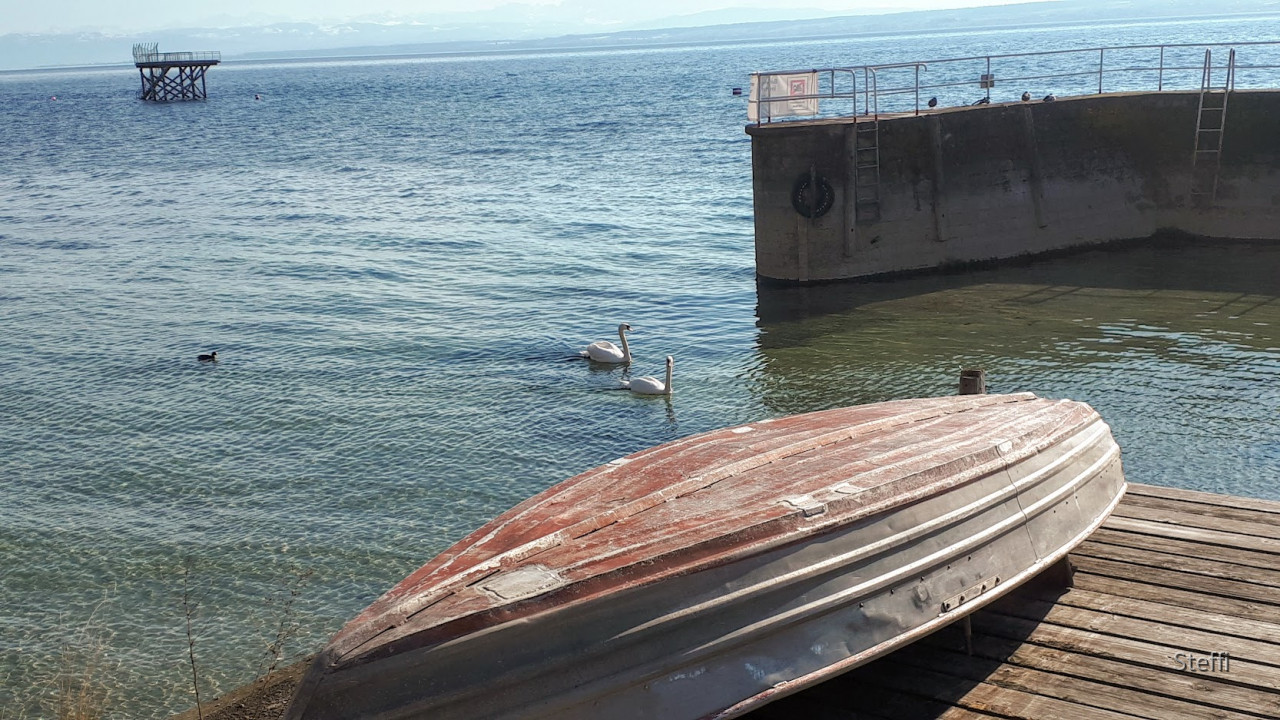 Meersburg Seepromenade (7)