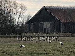 0FDECEFB-D919-4FC5-818C-5F173E0ECED5