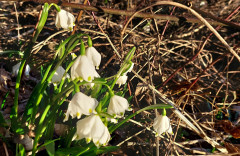 12.02.22 Märzenbecher